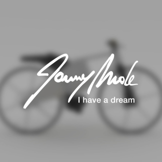 Electric Bicycle Jonny Mole